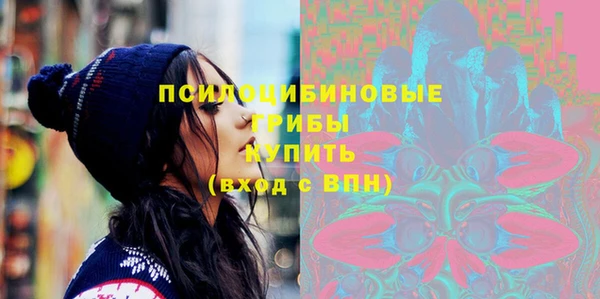 тгк Армянск