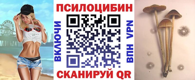 Галлюциногенные грибы ЛСД  Советск 